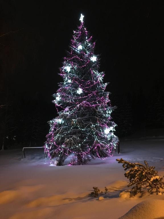 Apartment Le Mont Spindleruv Mlyn
